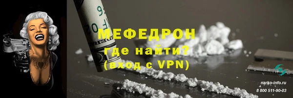 шишки Снежногорск